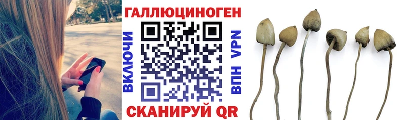 Галлюциногенные грибы Cubensis  Купить закладки  Хотьково 